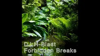 Dj H Blast   Forbidden Breaks