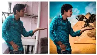 Eagle 🦅 photo editing concept | #short #picsart