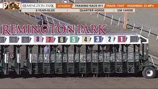 RaceView Network