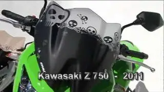 Ermax Kawasaki Z 750 2011
