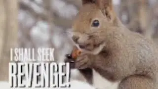 Becoming a vampire squirrel and terrorising the poor forest | Animal Simulator #1