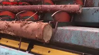 IPAB - Stocktrappa, Log Ladder