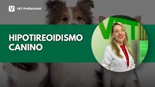 Endrocrinologia Veterinária: Hipotireoidismo Canino