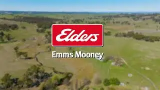Elders Emms Mooney - 'Yarron' 5353 Trunkey Road, Trunkey Creek