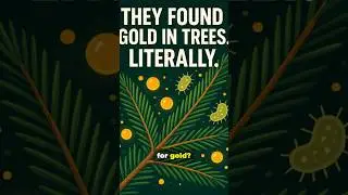 Finland&rsquo;s Trees Are Making GOLD &mdash; And Science Just Proved It