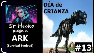 Ark 