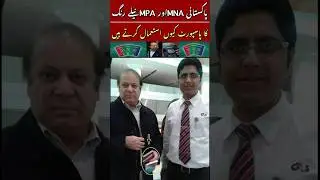 Pakistani Passport #passport #shortvideo #shorts #bilaltv #short #travel