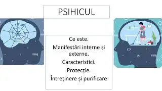 PSIHICUL Caracteristici Manifestări interne și externe Percepție Afectivitate. Protecție Purificare.