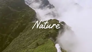 Nature - One Minute Film