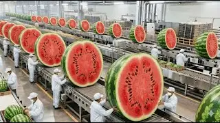 Inside the Largest US Factory: From Fresh Watermelons to Premium Juice (Full Process)