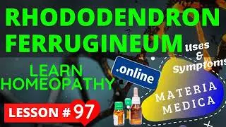Rhododendron Ferrugineum Uses And Symptoms   Learn Homeopathy Online Free Materia medica