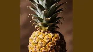 Cepat Ladang Bernafas