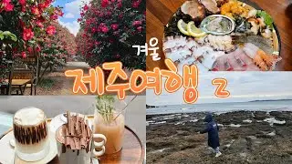 제주여행 2🧡 12월의 동백포레스트🌺| 성산일출봉 카페, 수마| 해산물 맛집, 온평바다한그릇| 부부요리단| 스누피가든 (실내편)🐾