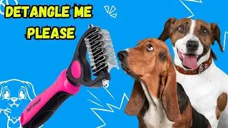 Got Mats? Not Anymore With Maxpower Amazon #1 Rated Grooming Brush!