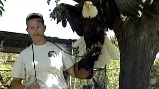 Animal Trainer Career Video