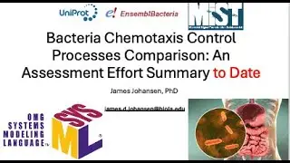 Bacteria Chemotaxis Control Comparison