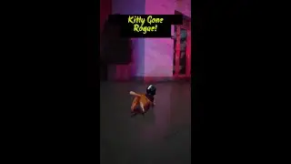 BIKER CAT CHASE: MIDNIGHT PURSUIT (NEON RAIN DRAMA!) 👮🐱🌧️