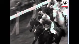 RACING AT SANDOWN PARK