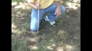 Tracking an Active Mole Tunnel