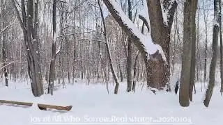 Всех Скорбящих Радость...20260104