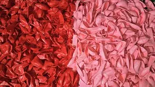 5 Minutes Satisfying ASMR Unboxing 1000 Red and Pink Balloons 🎈