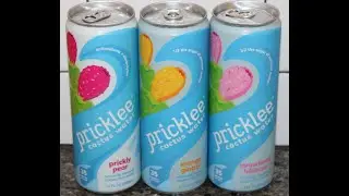 Pricklee Cactus Water: Prickly Pear, Mango Ginger & Strawberry Hibiscus Review