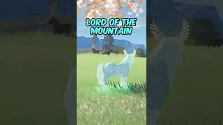 Things You Didn&rsquo;t Know In Tears of the Kingdom! 🤯(Part 1) #zelda #totktips #totk #tearsofthekingdom