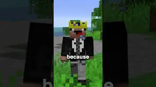 Is Minecraft Getting Vertical Slabs?