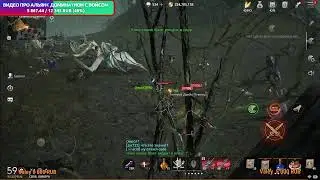 Lineage 2M РОЛ ФИОЛ КАРТЫ Точим Эпик L2M Stream