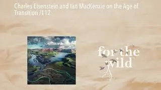 Charles Eisenstein and Ian MacKenzie on the Age of Transition /112
