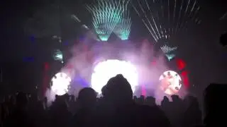 PROKO Enchanted Forest Gathering 2017