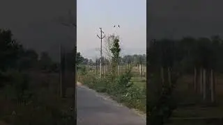 #trending #trendingshorts #tourism #viralvideo way to baba bhai devta jammu ❤️visit