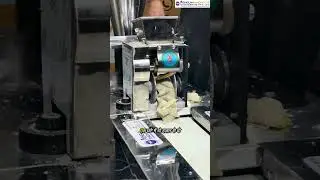 Automatic Samosa Making Machine | Street Food Business Idea 2025 | Penguin Food Tech