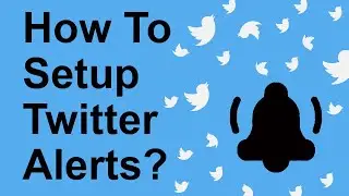 How To Setup Twitter Alerts? | Trendz Plus