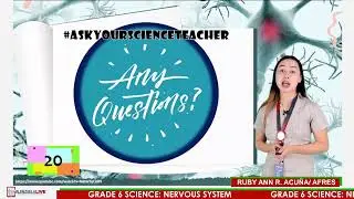 GRADE 6 SCIENCE NERVOUS SYSTEM