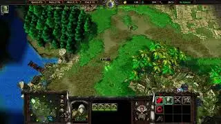 Массовое сражение Всадников Ветра против Нежити 1 на 1 Орк против Нежити Warcraft 3 #449