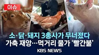 [이슈] 소·닭·돼지 모두 전염병 비상…물가도 흔들?/2026년 2월 2일(월)/KBS