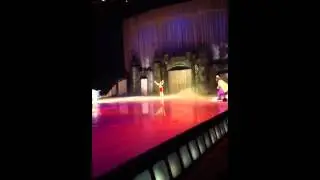Pinocchio disney on ice