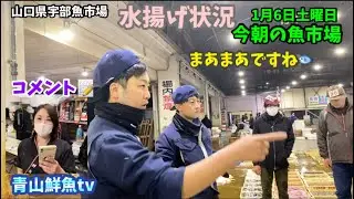 【水揚げ状況】【fish market】今朝の魚市場1月6日土曜日の水揚げ状況