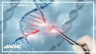 New cholesterol treatment could change heart health efforts