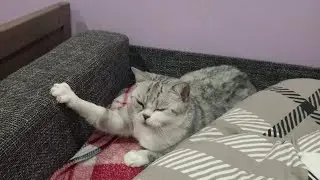 Как мы ловим рыбу с папой и оператором!
