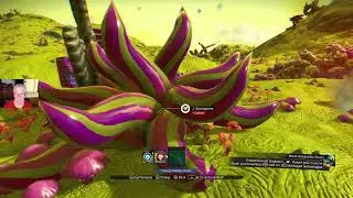 NMS - Abandoned Universe - Maximum Difficulty - No Usual Starter Ship # 01