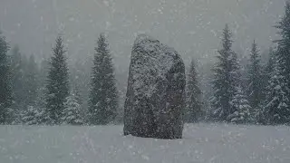 Intense Winter Storm at the Lake┇Howling Wind & Blowing Snow ┇Sounds for Sleep, Study & Relaxation