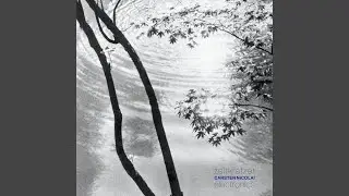 Synchron Bitwave