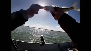 Fishing Keyhole Reservoir Wyoming Day 2. Walleye in the Boat