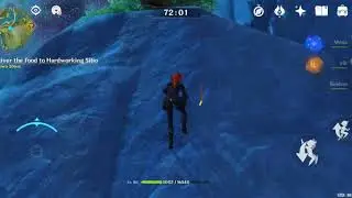 **good hunter express quest**             genshin impact