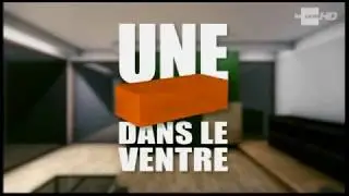 Une Brique dans le ventre