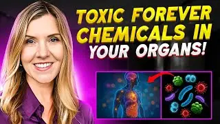 Forever Chemicals in Your Body? The Truth About PFAS and GenX Exposure