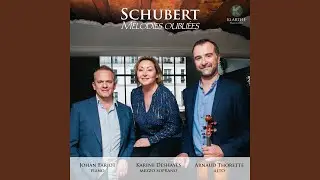 Sonatine en R&eacute;, Op. 137 n&deg;1: II. Andante (Transcr. for viola and piano by Arnaud Thorette)