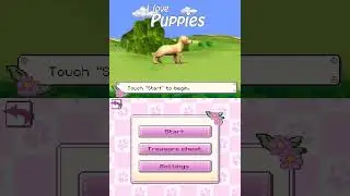 I Love Puppies USA - Nintendo DS